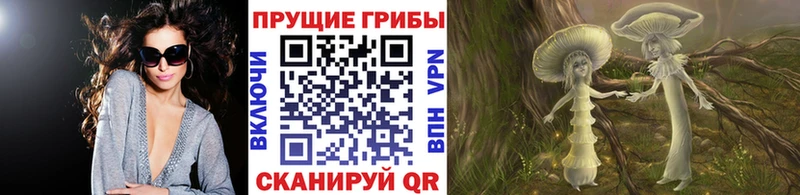 Галлюциногенные грибы Psilocybine cubensis  Дальнегорск 